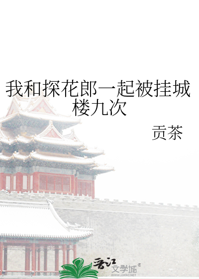我和探花郎一起被挂城楼九次