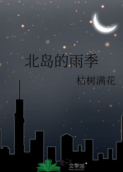 北岛的雨夜读后感