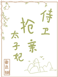 太子妃鸣鉴贴身侍卫