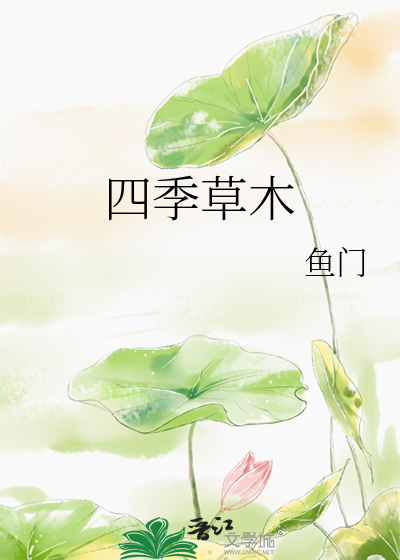 四季草本花卉