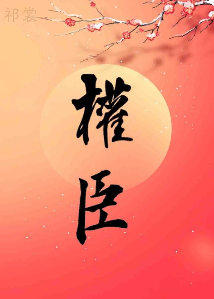 嫁给权臣以后 祁裳