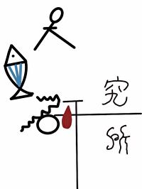 人鱼实验室日记