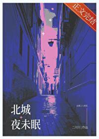 北城夜未眠笔趣阁