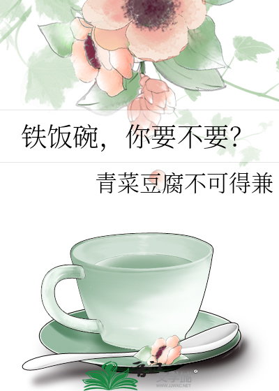 铁饭碗这