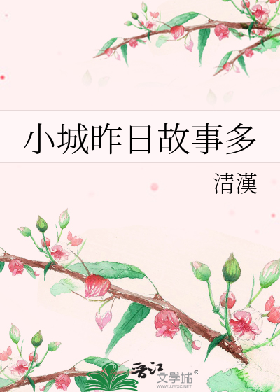 小城的故事1314