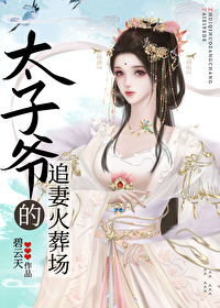 太子爷的追妻火葬场碧云天免费阅读