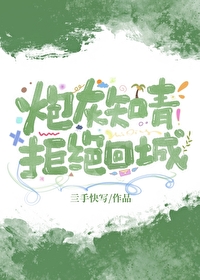 知青拒绝回城周彬坤的小说